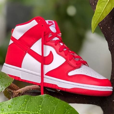 nike dunk high damen rot|Nike dunk schutz.